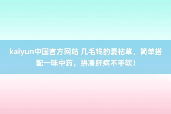 kaiyun中国官方网站 几毛钱的夏枯草，简单搭配一味中药，拼凑肝病不手软！