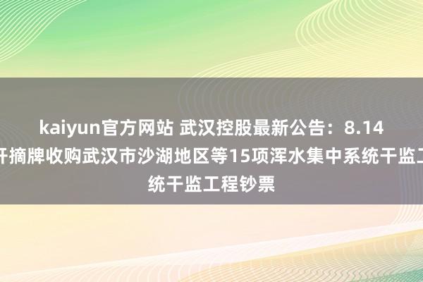 kaiyun官方网站 武汉控股最新公告：8.14亿元公开摘牌收购武汉市沙湖地区等15项浑水集中系统干监工程钞票