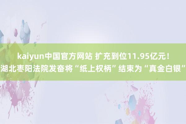 kaiyun中国官方网站 扩充到位11.95亿元！湖北枣阳法院发奋将“纸上权柄”结束为“真金白银”