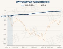 开云(中国)KAIYUN·官方网站字据最新一期基金季报披露-kaiyun体育在线官网