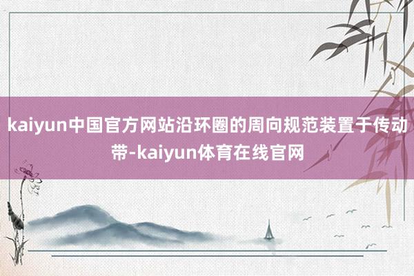 kaiyun中国官方网站沿环圈的周向规范装置于传动带-kaiyun体育在线官网