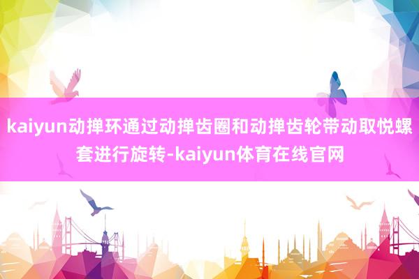 kaiyun动掸环通过动掸齿圈和动掸齿轮带动取悦螺套进行旋转-kaiyun体育在线官网