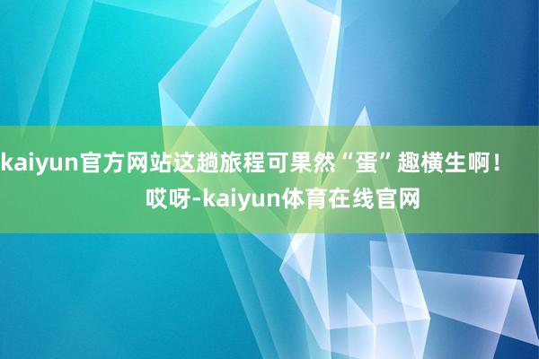 kaiyun官方网站这趟旅程可果然“蛋”趣横生啊！        哎呀-kaiyun体育在线官网