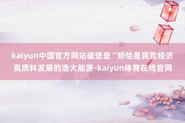 kaiyun中国官方网站　　破壁垒　　“矫恰是民营经济高质料发展的浩大能源-kaiyun体育在线官网