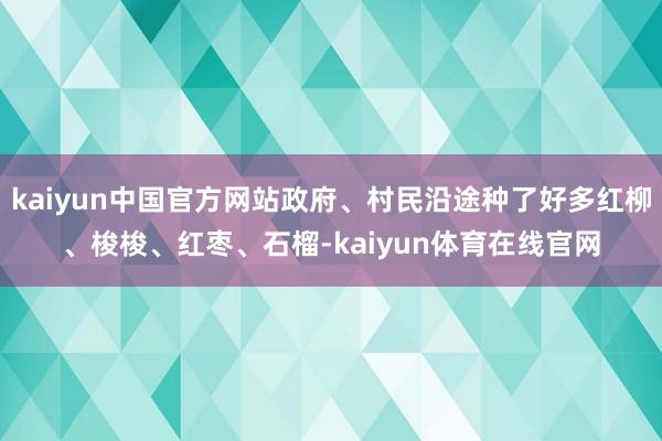 kaiyun中国官方网站政府、村民沿途种了好多红柳、梭梭、红枣、石榴-kaiyun体育在线官网