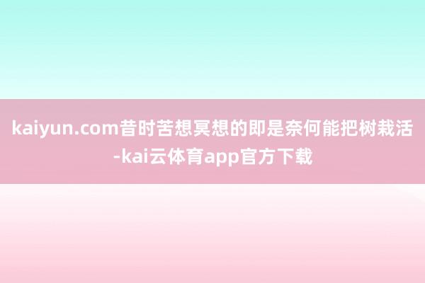 kaiyun.com昔时苦想冥想的即是奈何能把树栽活-kai云体育app官方下载