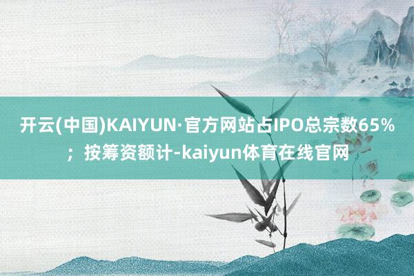 开云(中国)KAIYUN·官方网站占IPO总宗数65%；按筹资额计-kaiyun体育在线官网