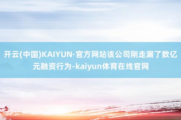 开云(中国)KAIYUN·官方网站该公司刚走漏了数亿元融资行为-kaiyun体育在线官网