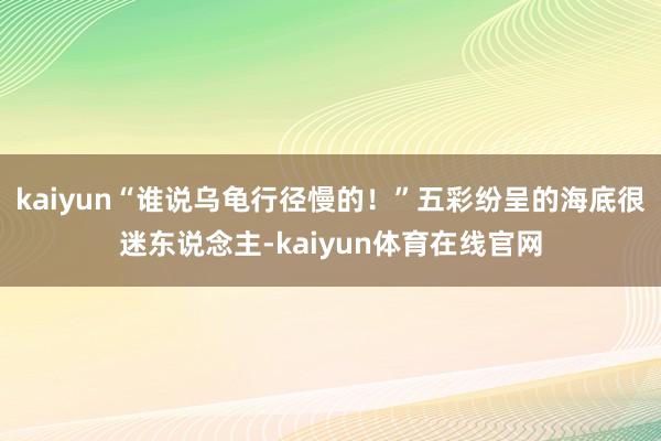 kaiyun“谁说乌龟行径慢的！”五彩纷呈的海底很迷东说念主-kaiyun体育在线官网