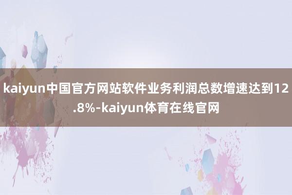kaiyun中国官方网站软件业务利润总数增速达到12.8%-kaiyun体育在线官网